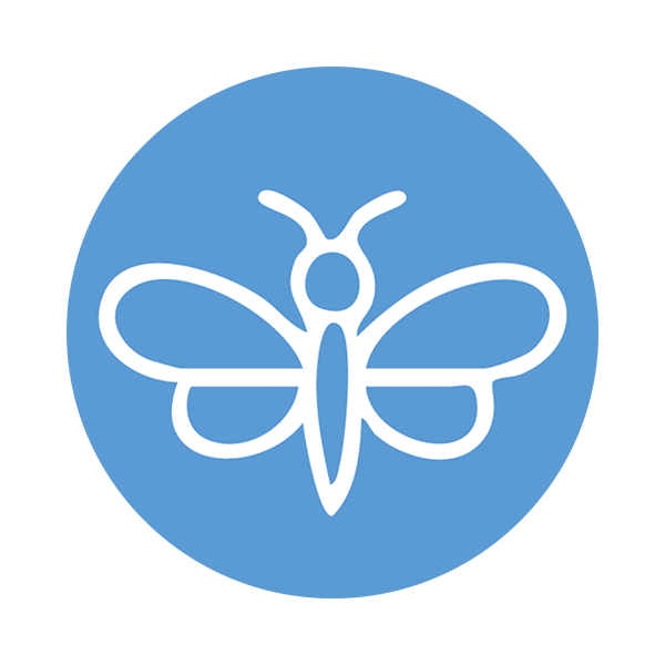 Regenerative biodiversity strategy - services