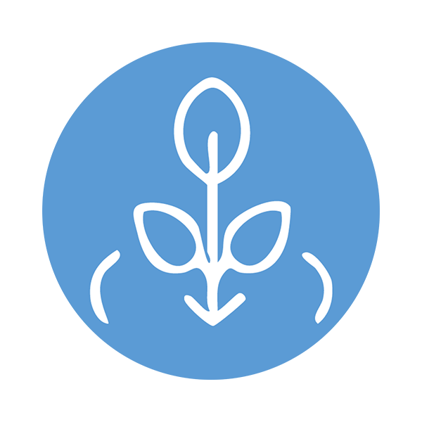 Regenerative carbon farming - services