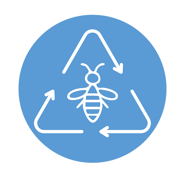 Regenerative nature credits - services