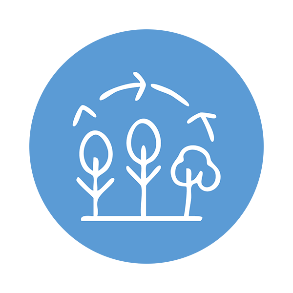 Regenerative agriculture - services