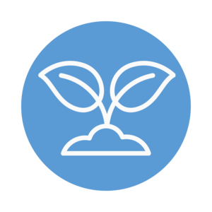 Reg icon